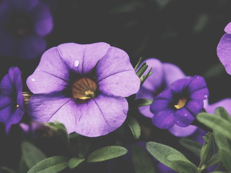 sudoku device transfer screenshot 4